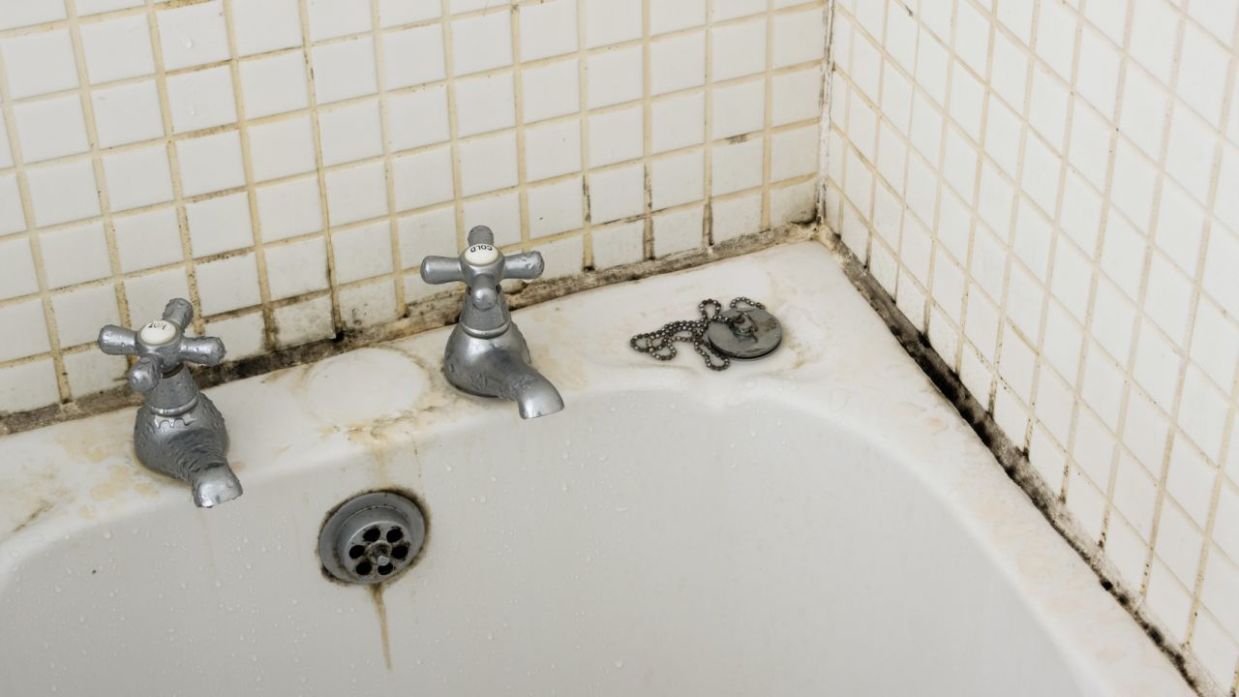 virar Perseo límite Cómo quitar el moho de la bañera (trucos muy efectivos)